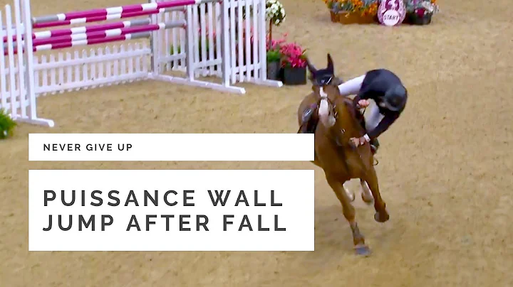 Puissance wall jump after fall (Dominic Webb at HOYS 2018)