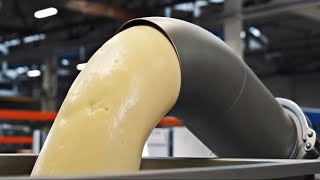 How BUTTER is Made In Factories | From Cows Milk To Butter (Amazing Process)
