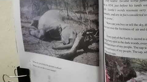 SDMYRR High School 9th English What is Man Without the Beasts  Part 1