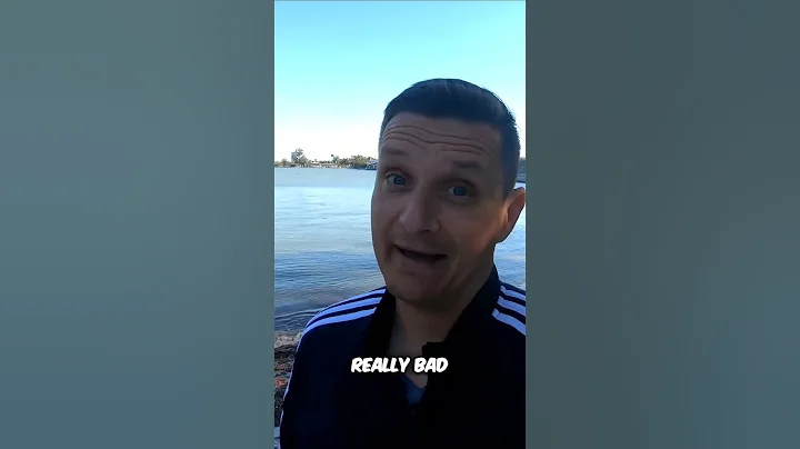 The Impending Crisis: The Chinese Real Estate Market on the Verge of Collapse