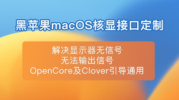 黑苹果macOS核显接口定制，解决显示器无信号，无法输出信号，OpenCore及Clover引导通用