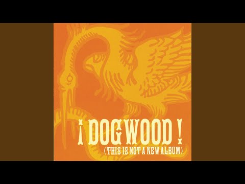 Vídeo: Que Dogwood Maravilhoso