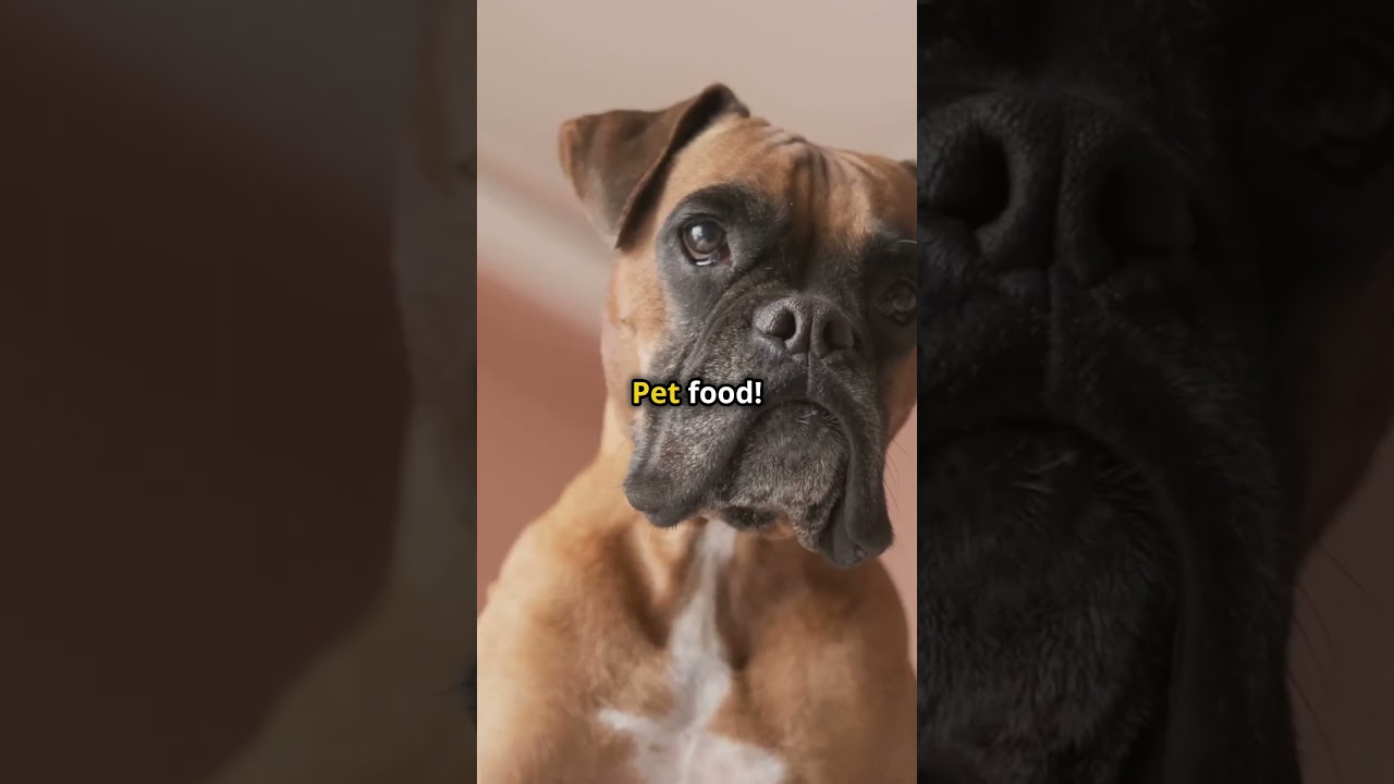 Pet Industry Spending Trends