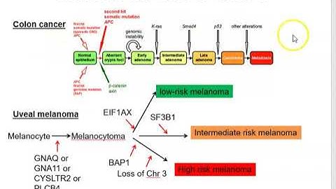 Oncogenic mutational profiling 3 COSMIC database