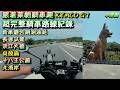 跟著萊姆騎車趣 KYMCO G7 超完整騎車路線紀錄 新車磨合期測油耗 意想不到數據 長途試駕 #淡江大橋 #貝殼廟 #十八王公廟 #北海岸
