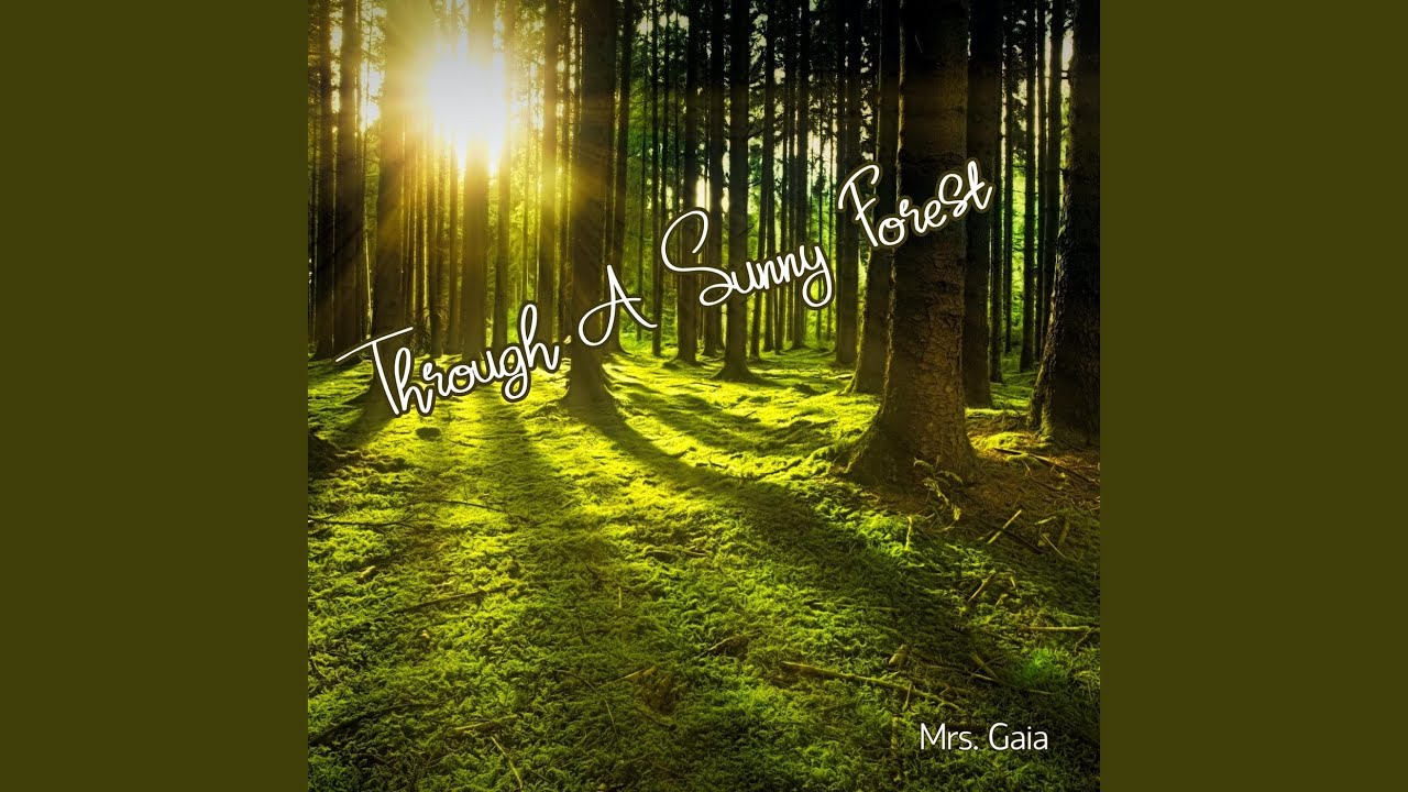 Through a Sunny Forest