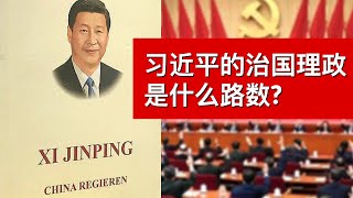 习近平的治国理政是什么路数?(字幕)/What Xi Jinping Wants to Do with His Unrivaled Power/王剑每日观察/20210813