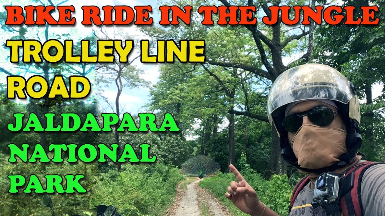 Bike ride in a jungle at Jaldapara National Park || Trolley line road to Totopara