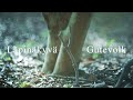 ~Trailer~ " Läpinäkyvä " Gutevolk