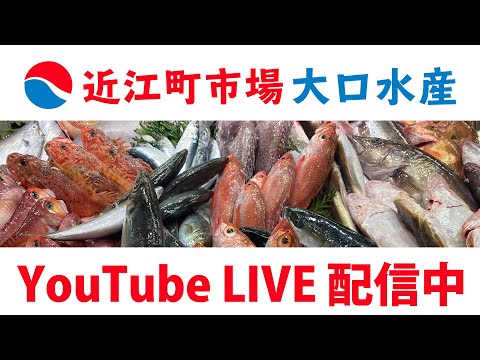 近江町市場 大口水産 ライブカメラOmicho Oguchi Fisheries LIVE のライブ配信