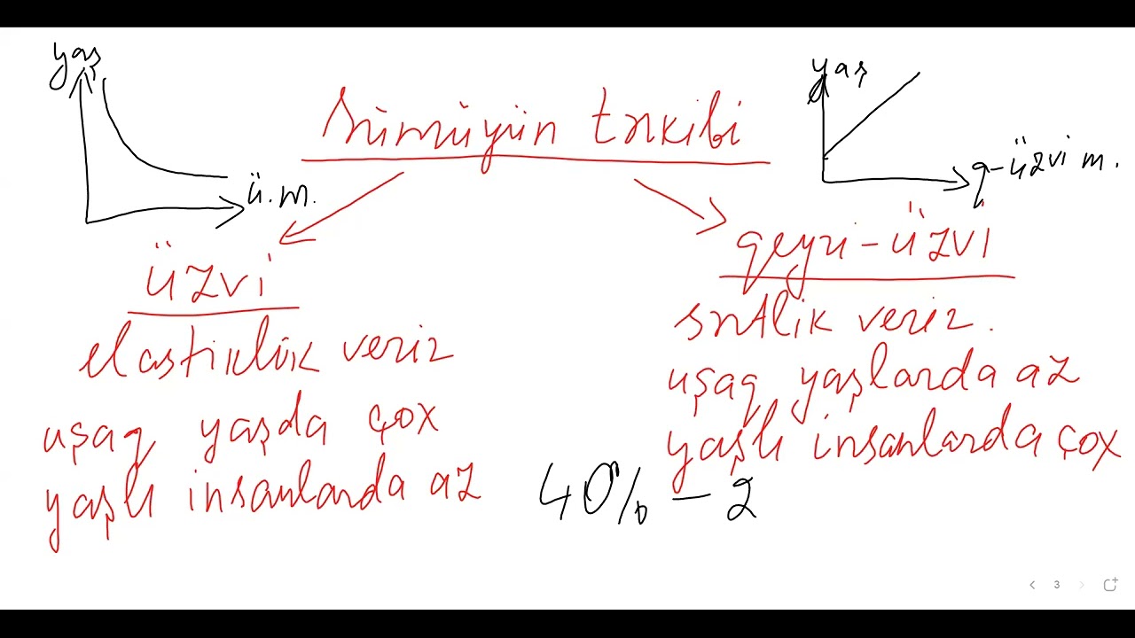 dayaq hərəkət aparatı 1. sentyabr qrupu