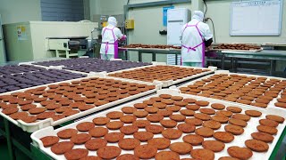 우리밀로 만든 달콤한 수제 초코파이 대량생산 현장! 놀라운 과정 대공개 / Sweet Choco Pie Mass Production Site!/ Korean food factory