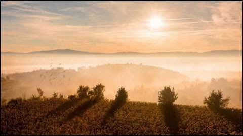 تلاوة جميلة وعذبة استمع ليهدأ قلبك