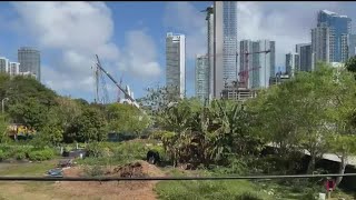 Two Teens Arrested For Allegedly A 12-Year-Old Girl In A Miami Community Garden