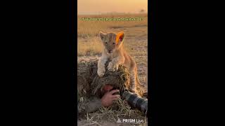 Mind Whisper stories  Live Stream