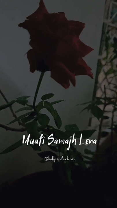 Sorry WhatsApp Status | Maaf Karna Status | Sorry Status | Maafi Status | #shorts #status #sorry