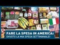 LA MIA SPESA DA ITALIANA IN AMERICA! Dove e cosa compro per la settimana?