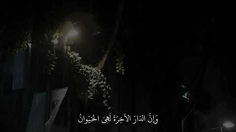 سوره العنكبوت ♥| قرآن حالات واتس بدون حقوق| ستوريات قرآن قصيرة بصوت جميل |#قران_كريم#عبدالرحمن_مسعد