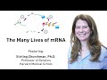 The Many Lives of mRNA - Stirling Churchman, PhD