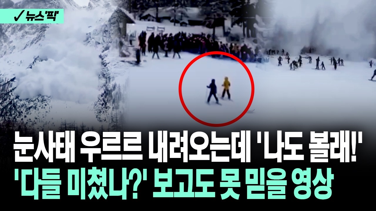 [뉴스'픽'] 눈사태 우르르 내려오는데 '나도 볼래!' '다들 미쳤나?' 보고도 못 믿을 영상