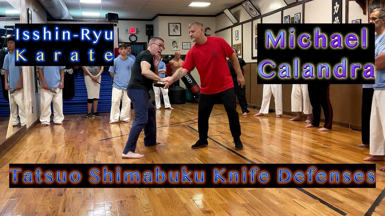 «2 Тацуо Симабуку защита от ножа» Иссин-Рю каратэ Майкла Каландры, семинар в Нью-Йорке, 2025 г.