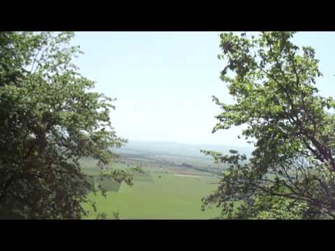 ლაზარე ექსკურსიაზე