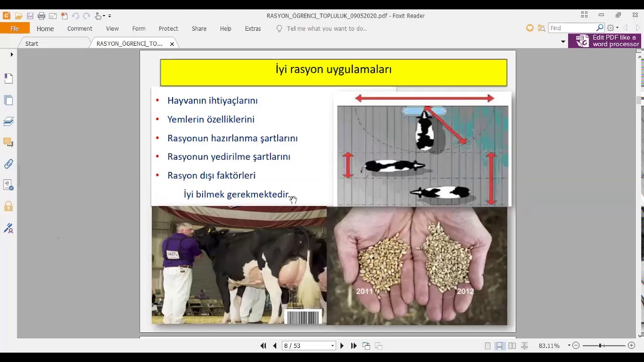 PROF.DR.NURETTİN GÜLŞEN