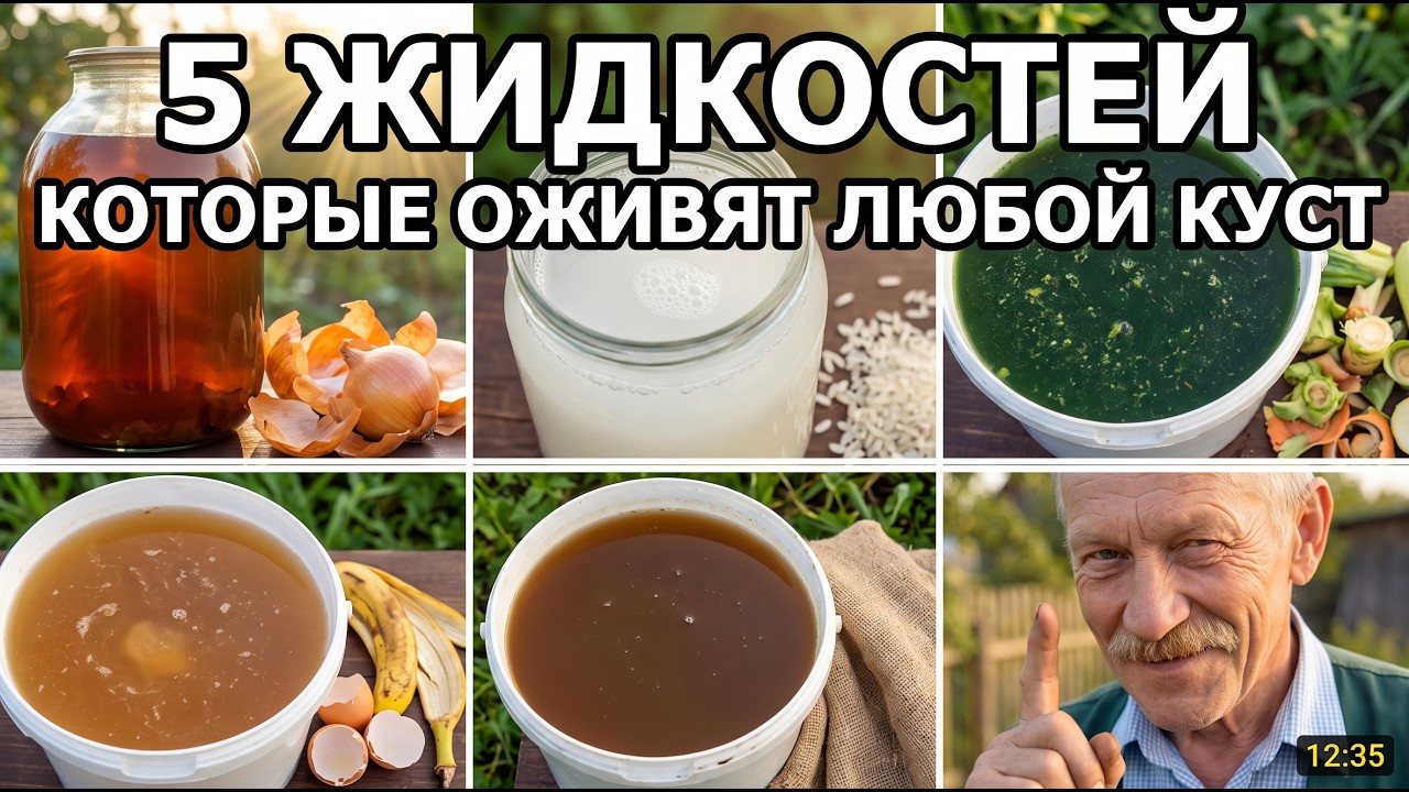 Вы это ВЫБРАСЫВАЕТЕ каждый день — а это ЛУЧШЕЕ удобрение на Земле