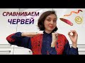 Урок "Сравнение червей" - ЦТ, ЕГЭ, ЗНО.