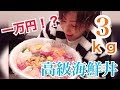 【一級品】一杯１万円する海鮮丼を食べてみた【豪華】