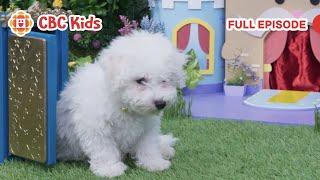 mittens pants metamorphobox cbc kids