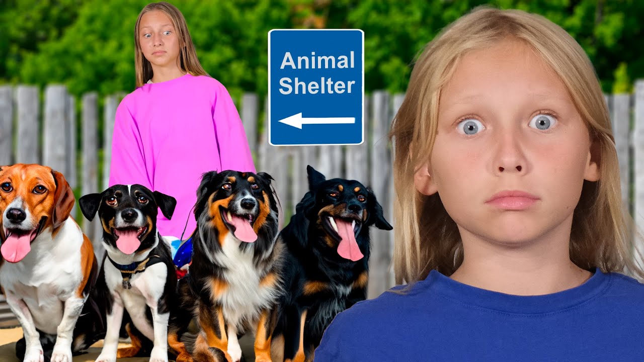 Мы нашли собачий приют и помогли ему! - YouTube