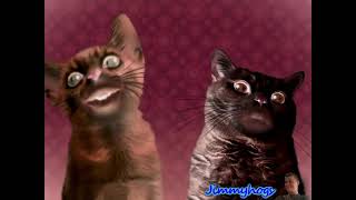 Preview 2 Numa Cat Effects 2