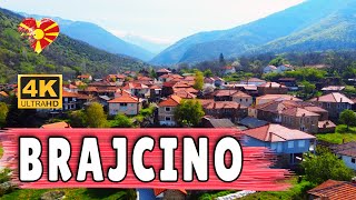 Brajcino Resende Güzel Köy Prespa Gölü Yakınında