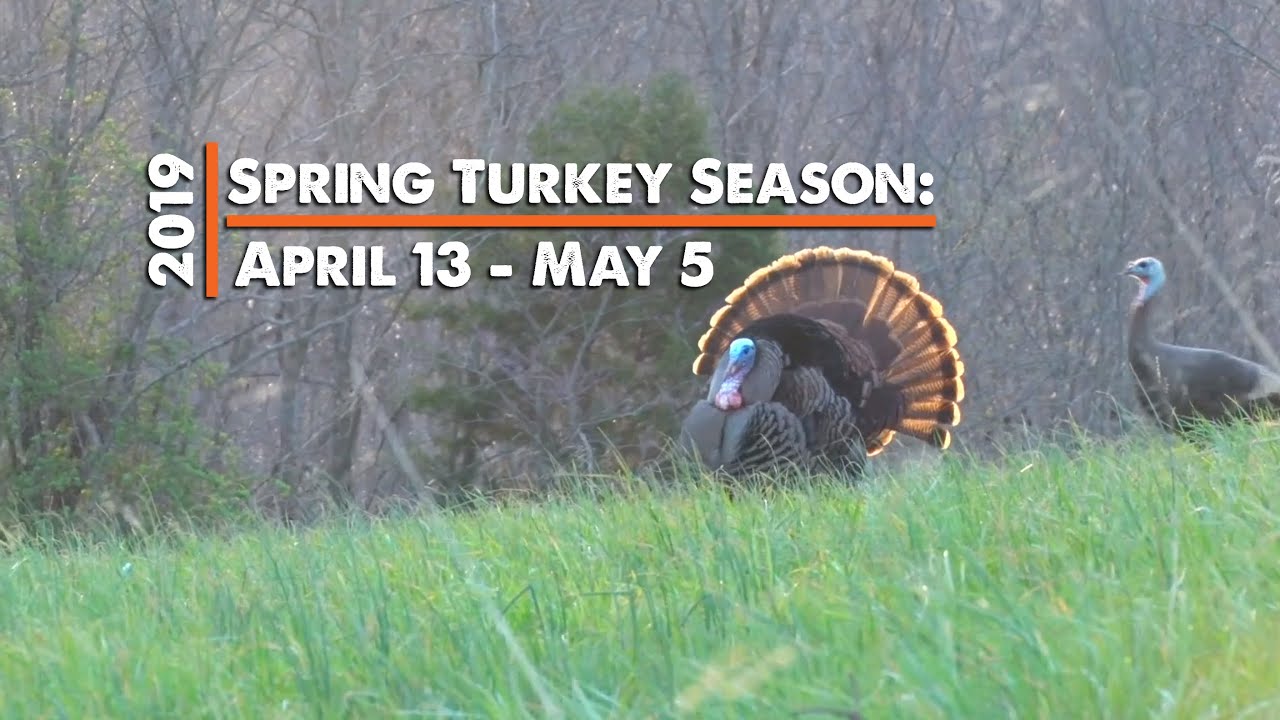 2019 Spring Turkey Season Teaser YouTube