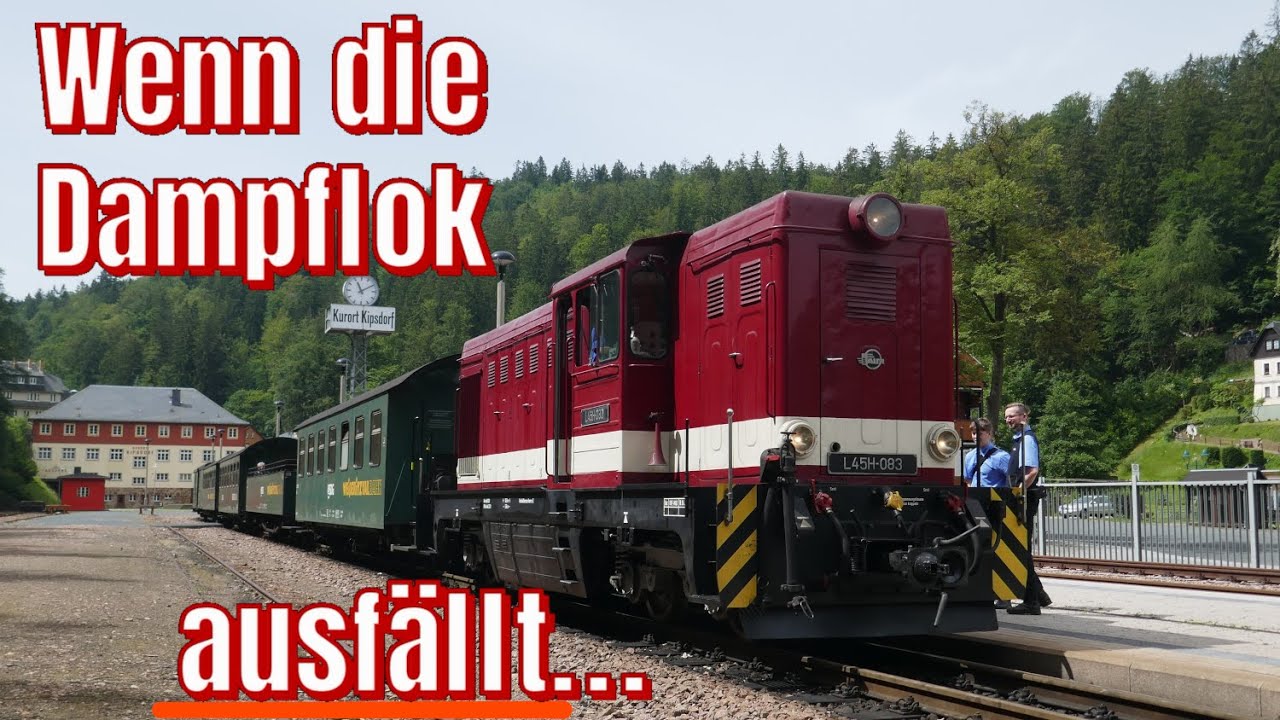Diesel-DUFT auf der Weißeritztalbahn | L45H-083 vor Regelzug | 21.6.2024