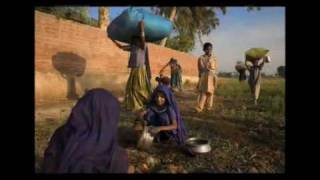 Ilcp Voices Behind The Camera With Annie Griffiths Belt