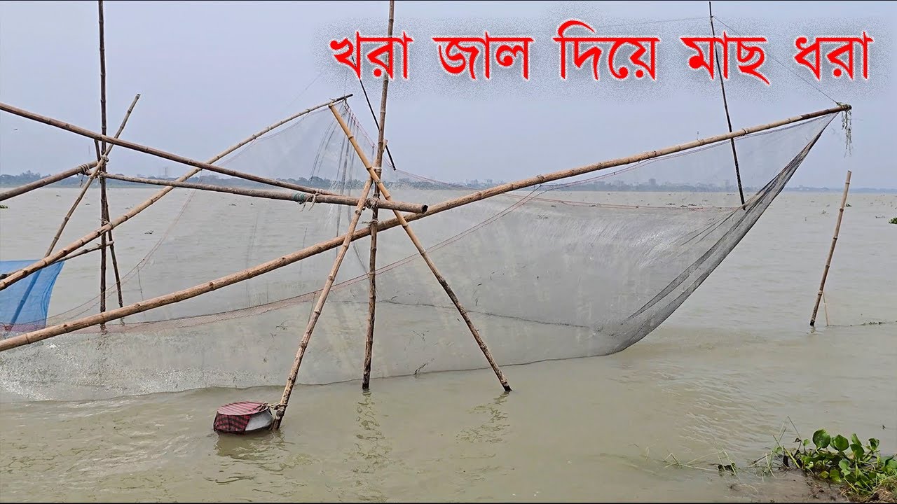 খরা জাল দিয়ে মাছ ধরা  | দেশীয় মাছ ধরার পদ্ধতি  | Explore With Bfine