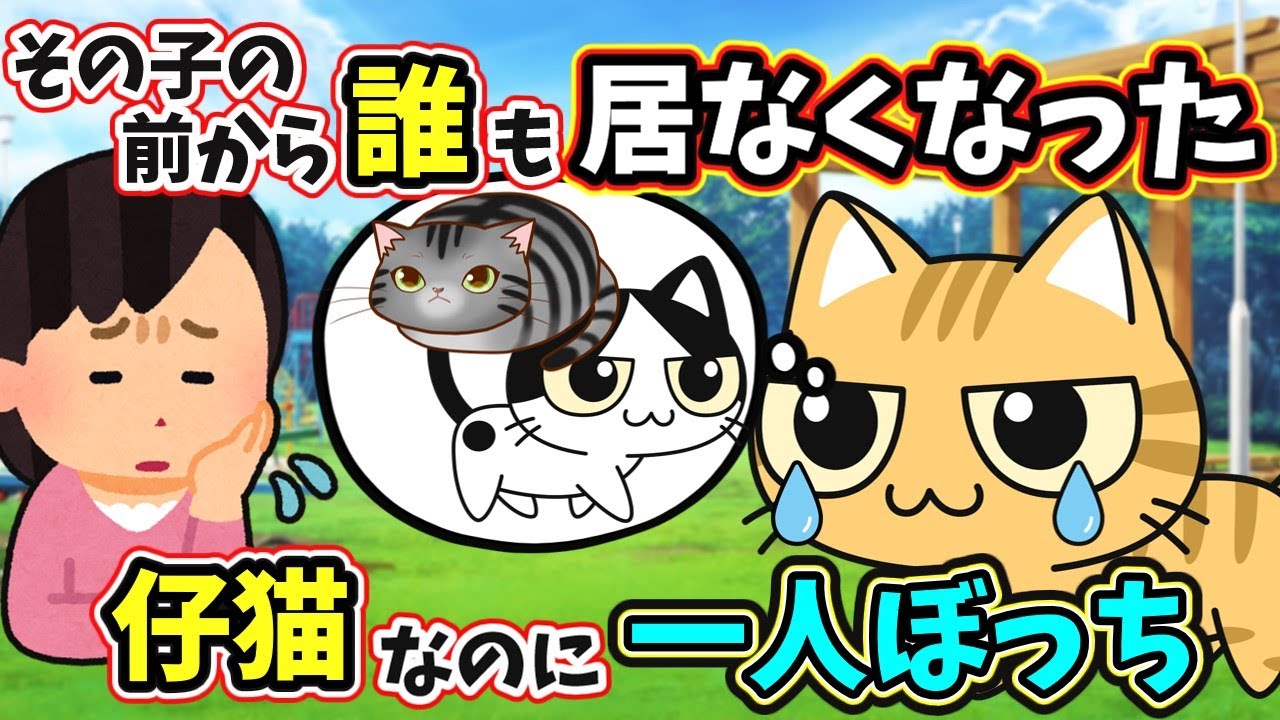 家族がいなくなった子猫。ストレスから抜毛症に‥ 　　　　　　　　 . 　　　　　　　　　  【 感動する話 泣ける話 切ない話 涙活 実話 】 #2ちゃんねる #2ch #2ch面白いスレ #猫 #犬