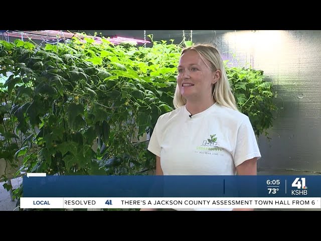 Kansas City hydroponic farm growing in an East Bottoms warehouse