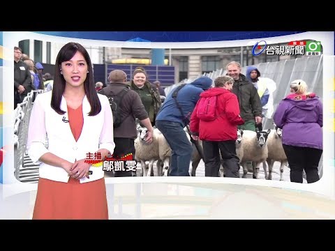 2019.09.30 台視主播 鄔凱雯 《國際財經脈動》