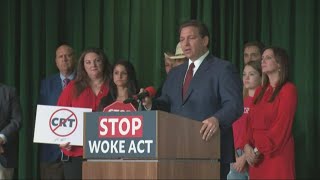 Plaintiff reacts to federal judges decision to block Gov. DeSantis' so called 'Stop Woke Act'