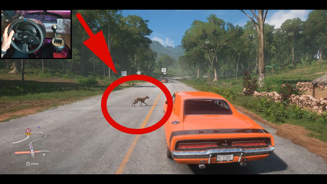 Dodge Charger RT 1969 Forza Horizon 5 4K | Steering Wheel gameplay | Thrustmaster T300 RS + TH8A 4K