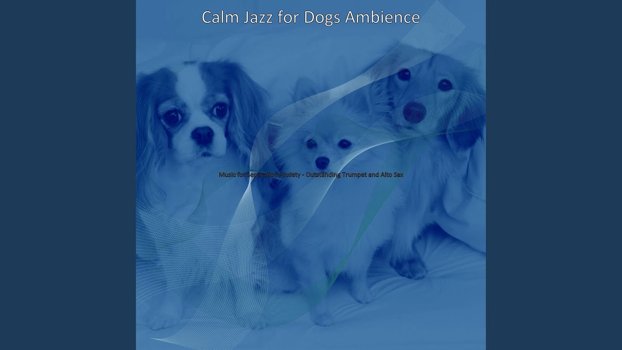 Superlative Moods for Separation Anxiety