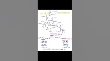 गंगा नदी तंत्र Ganga river system #river #allexam #gk #gsgeneral #viralvideo #shortsfeed #upsc #ssc