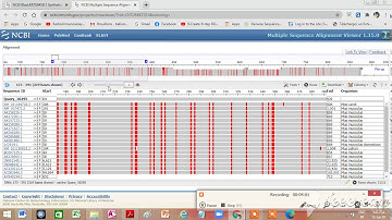. How do you do a BLAST search ?    Nucleotide BLAST