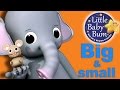 Big and Small Song | Nursery Rhymes | Original Song by LittleBabyBum