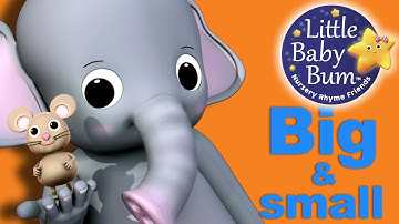 Big and Small Song | LittleBabyBum - Nursery Rhymes for Babies! ABCs and 123s