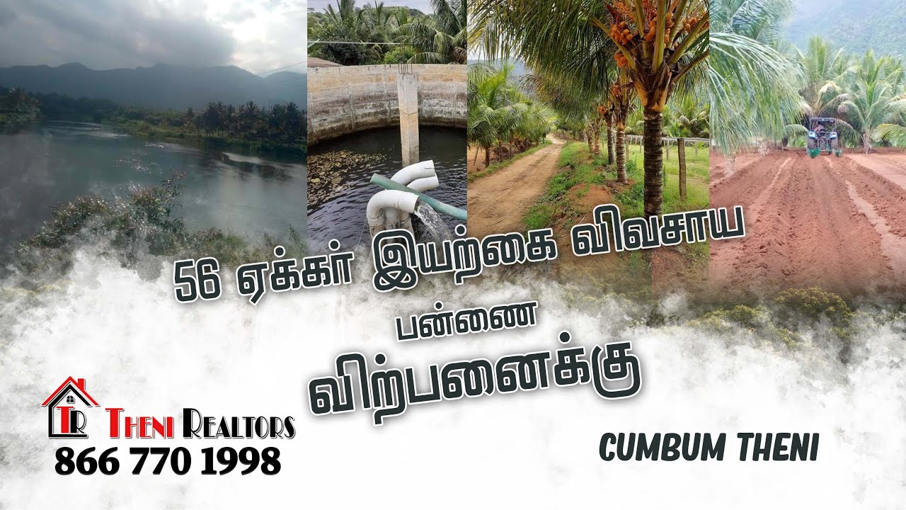 56 Acre Organic Farm for Sale in Cumbum Theni - Low Price