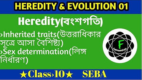 Class10 Science ||Chapter 9- Heredity And Evolution 01|| Bengali Medium বংশগতি ও বিবর্তন